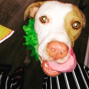 Meet your Posher, Sandra